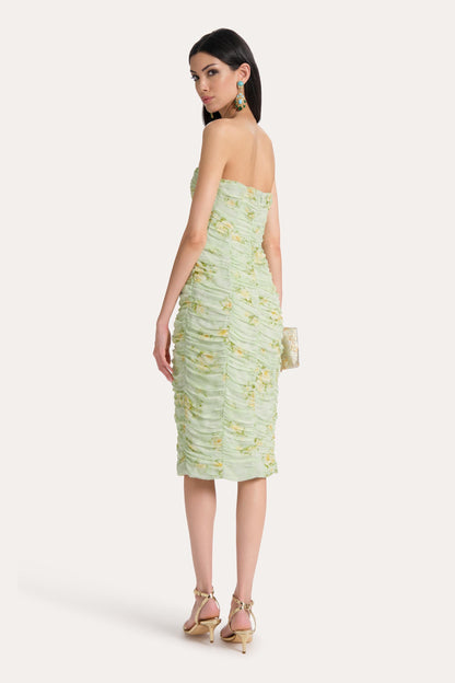 Elie Tahari Sierra Ruched Silk Chiffon Dress
